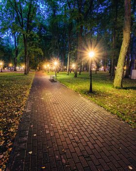 A night park lit by lanterns with a stone pavement, trees, fallen leaves and benches in early autumn. Cityscape.