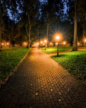 A night park lit by lanterns with a stone pavement, trees, fallen leaves and benches in early autumn. Cityscape.