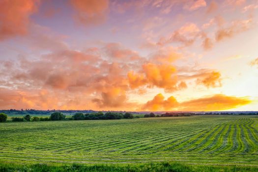 Twilight at cultivated land in the countryside on a summer evening with cloudy sky background. Procurement of food for animals. Combined field. Landscape.