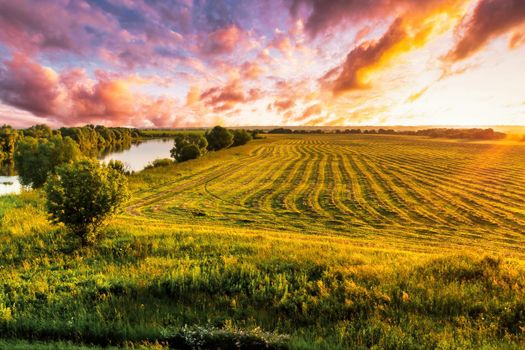 Sunset at cultivated land in the countryside on a summer evening with cloudy sky background. Procurement of food for animals. Combined field. Landscape.