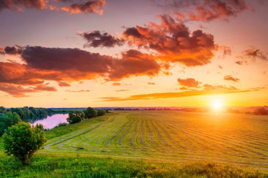 Sunset at cultivated land in the countryside on a summer evening with cloudy sky background. Procurement of food for animals. Combined field. Landscape.