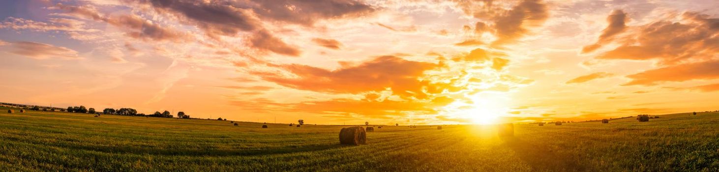 Sunset or sunrise in a field with haystacks on a summer or early autumn evening with a cloudy sky in the background. Procurement of animal feed in agriculture. Landscape.