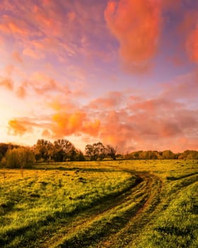 Sunset or sunrise in a spring field with green grass, willow trees and cloudy sky. Sunbeams making their way through the clouds.