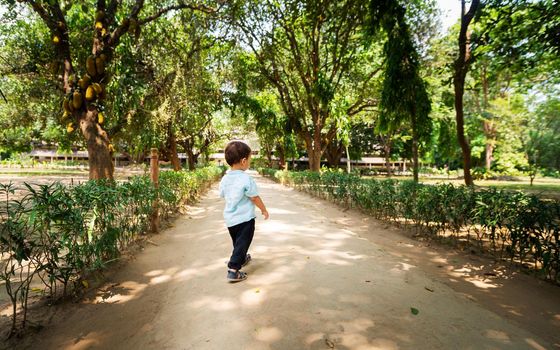 Little boy in beautiful subtropical park, toddler wearing light blue shirt