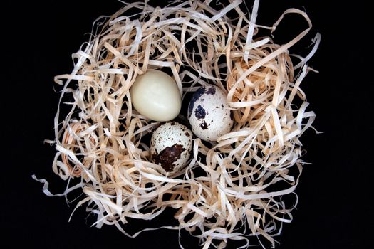 Quail eggs in artificial nest on black background.