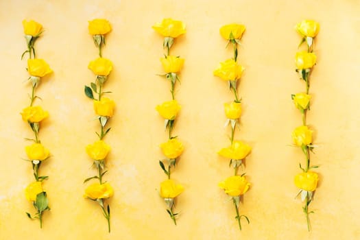 Fresh natural roses flowers and small green leaves on rustic yellow surface. Top view