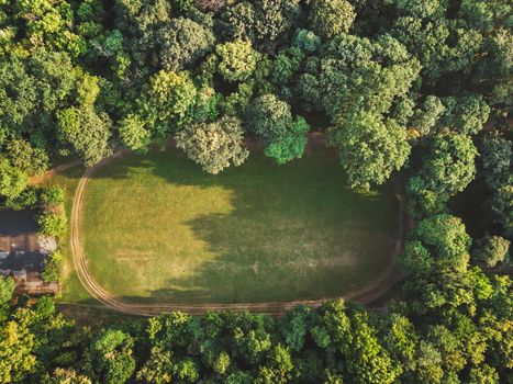 Aerial View of empty field with trim path  in a dense forest