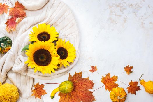 Autumn flat lay composition. White knitted  female sweater and golden sunflowers on white rustic background, top vie