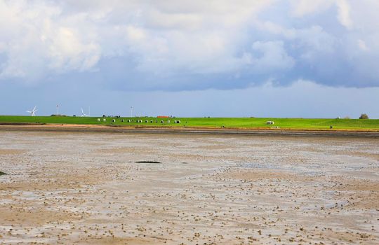 The Wadden Sea National Park near the Peninsula Nordstrand, Germany, Europe