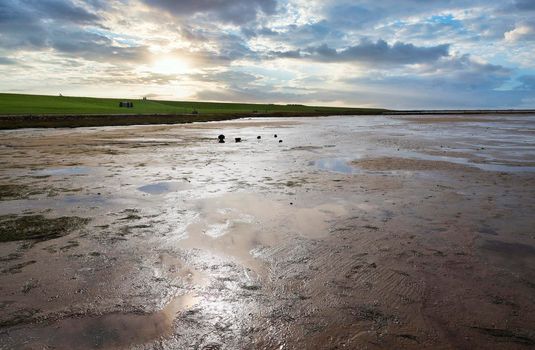 The Wadden Sea National Park near the Peninsula Nordstrand, Germany, Europe