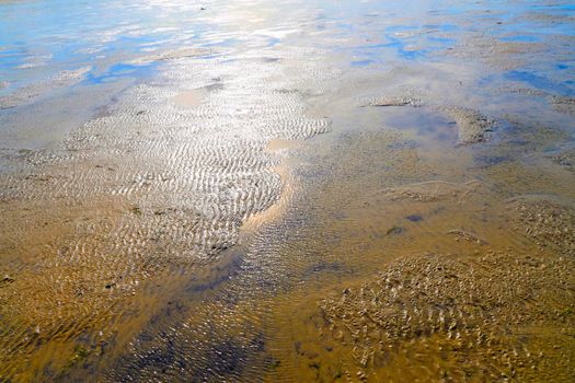 The Wadden Sea National Park near the Peninsula Nordstrand, Germany, Europe