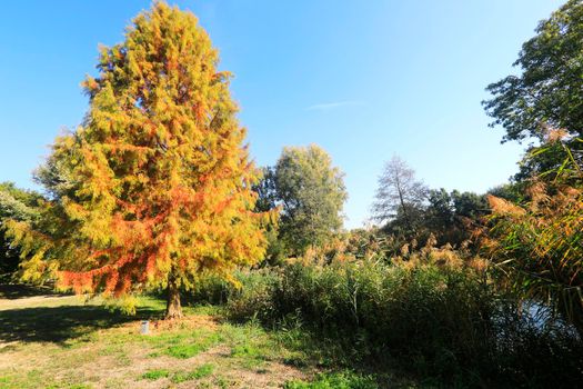 The Wertwiesen Park in Heilbronn, Baden-Württemberg, Germany, Europe