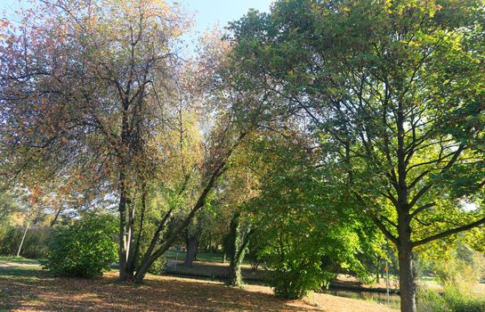 The Wertwiesen Park in Heilbronn, Baden-Württemberg, Germany, Europe