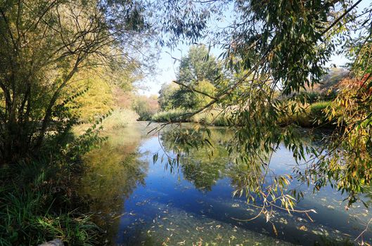 The Wertwiesen Park in Heilbronn, Baden-Württemberg, Germany, Europe