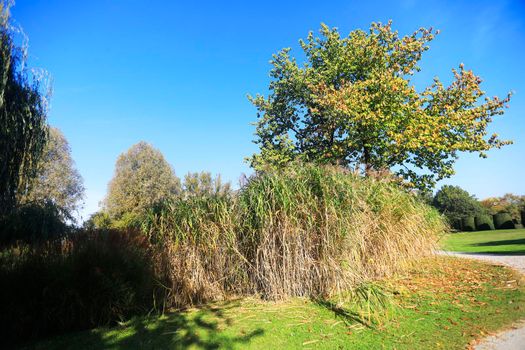 The Wertwiesen Park in Heilbronn, Baden-Württemberg, Germany, Europe