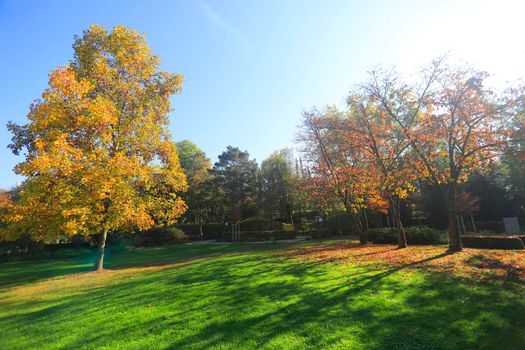 The Wertwiesen Park in Heilbronn, Baden-Württemberg, Germany, Europe