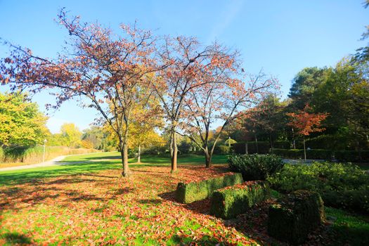 The Wertwiesen Park in Heilbronn, Baden-Württemberg, Germany, Europe