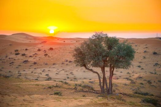 The Desert in Ras al Khaimah, United Arab Emirates, Asia 