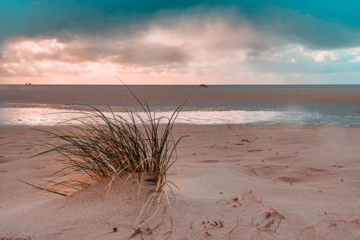 Dunes at the Beach of Amrum, Germany, Europe