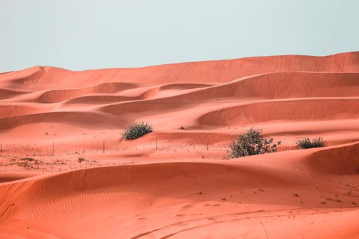 The Desert in Ras al Khaimah, United Arab Emirates, Asia 