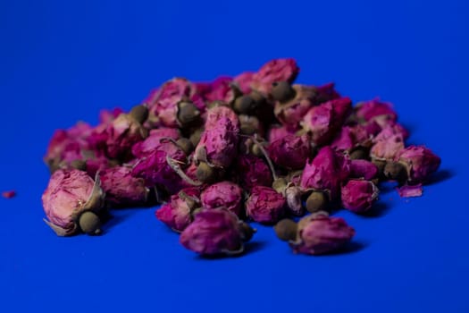 A lot of little pink roses on a blue background - horizontal photo