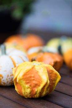 Orange and yellow decorative autumn gourd.