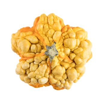 Autumn gourd viewed from above and isolated on a white background