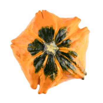 Autumn gourd, viewed from above and isolated on a white background.