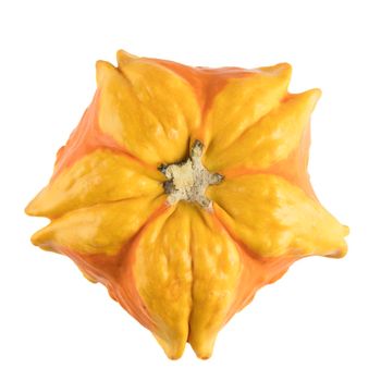 Autumn gourd, viewed from above and isolated on a white background.
