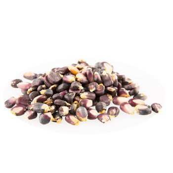 Pile of dried blue corn hominy isolated on white.