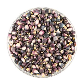 Bowl of dried blue corn hominy isolated on white