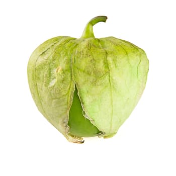 One tomatillo isolated on white background.