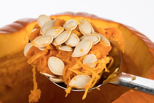 Large spoon of pumpkin seeds scraped from inside pumpkin to prepare for carving jack o lantern