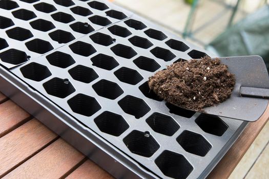 Trowel putting soil in garden sprouting tray.