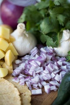 Chopped red onions surrounded by garlic, cilantro and other ingredients.