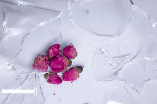 small pink roses next to the fragments of a broken glass. High quality photo