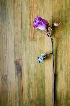 pink dried rose lays on the weathered wooden table top