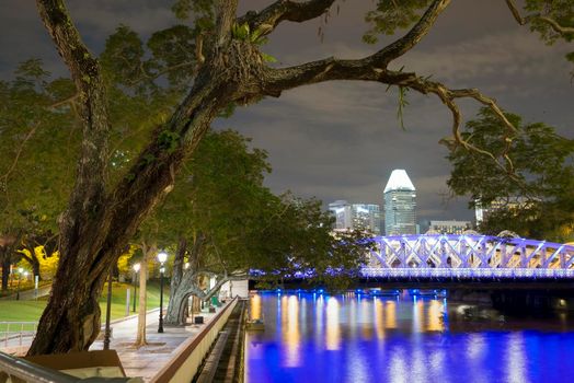 big tree close to the river and illuminated Singapore skyline by nigh