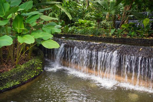 artificial water cascade and green plants in Singapore Botanical garden