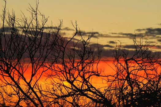 Clouds and lovely sky at Sunset in Alicante in spring
