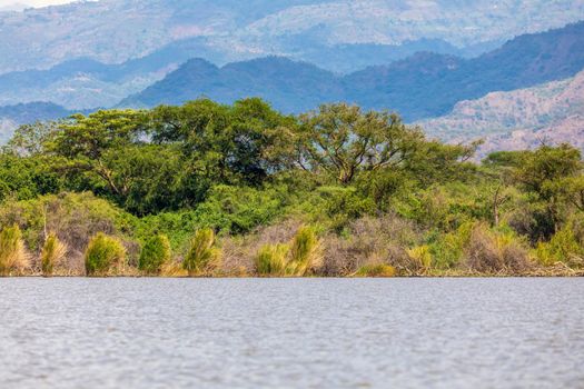 Chamo Lake natural biotope, landscape in the Southern Nations, Nationalities, and Peoples Region of southern Ethiopia. Africa Wilderness