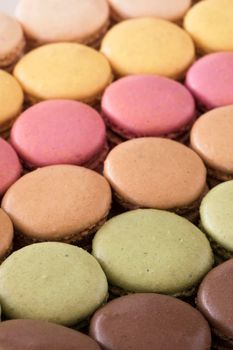 Macaroons in a variety of colors and flavors