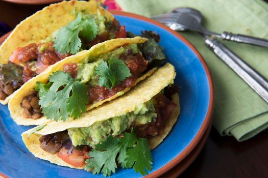 Three homemade spicy lentil tacos with guacamole, salsa and topped with cilantro