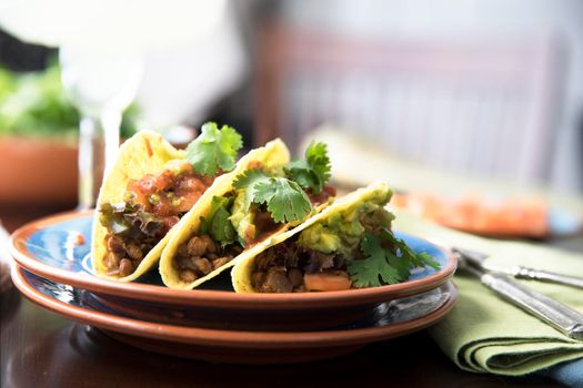 Three homemade spicy lentil tacos with guacamole, salsa and topped with cilantro