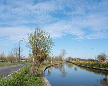 Lange linschoten near Oudewater in green heart of holland during spring