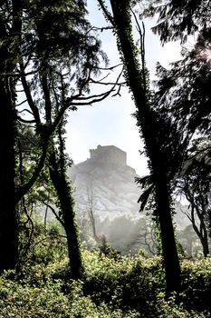 Beautiful leafy forest with colossal trees and soft sun rays in Sintra Mountains in Lisbon, Portugal. Capuchin convent in the background