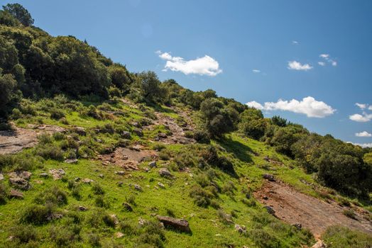 A view of a mountain range of a green forest against a dramatic back of blue sky with clouds. Travel concept hiking. A saddle between mountains, topographic saddle, North District Israel.