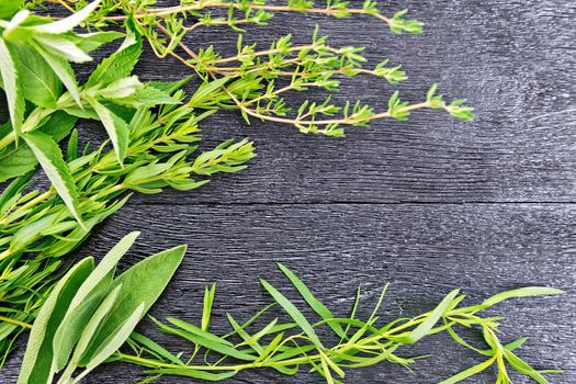 Frame of savory leaves, tarragon, sage and thyme on the background of wooden boards