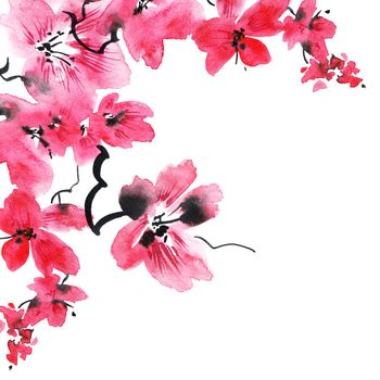 Watercolor illustration of blossom sakura tree with pink flowers and buds. Oriental traditional painting in style sumi-e, u-sin and gohua. Flowers on white background.