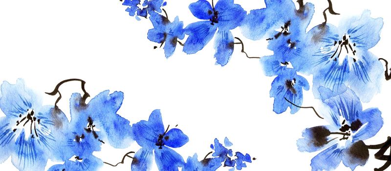 Watercolor illustration of blossom tree branch with blue flowers. Oriental traditional painting in style sumi-e, u-sin and gohua. Flowers on white background. Horizontal background.